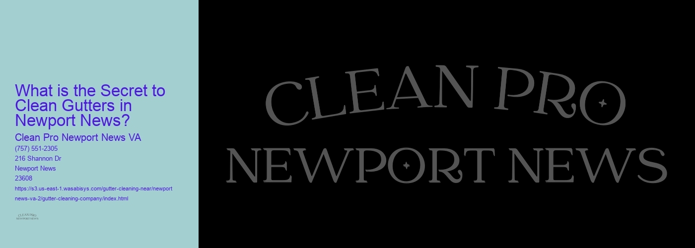 What is the Secret to Clean Gutters in Newport News? 